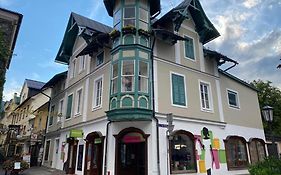 Zentrale Lage in Bad Ischl - Top 2